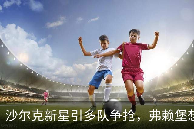 沙尔克新星引多队争抢，弗赖堡想挖人却撞上长约
